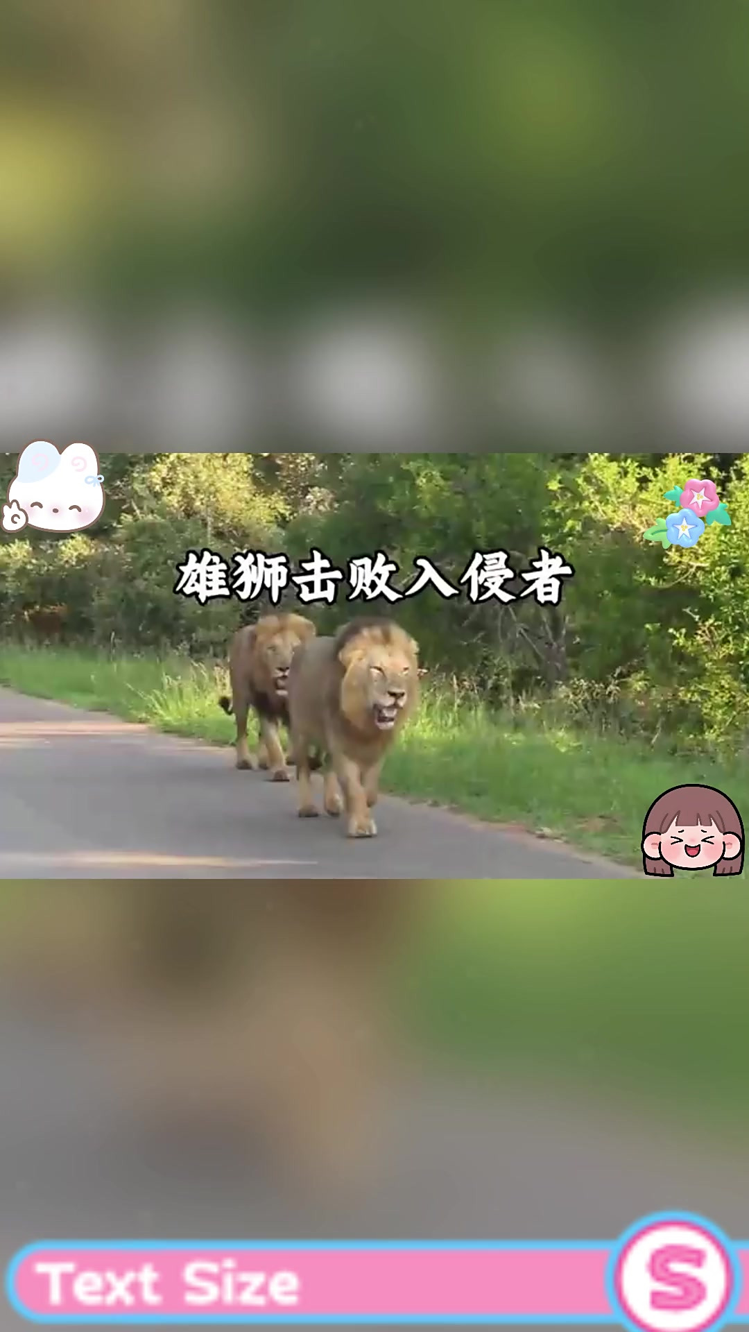 开云体育登录-雄狮队在比赛中展现出色，轻松击败对手