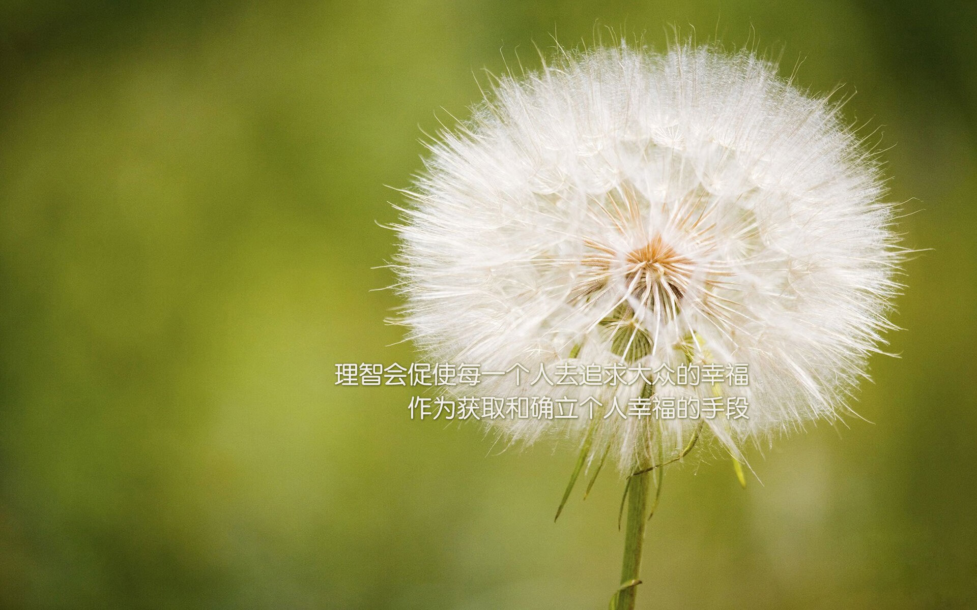 北京队解密防守方程式,霍勒迪是唯一的解