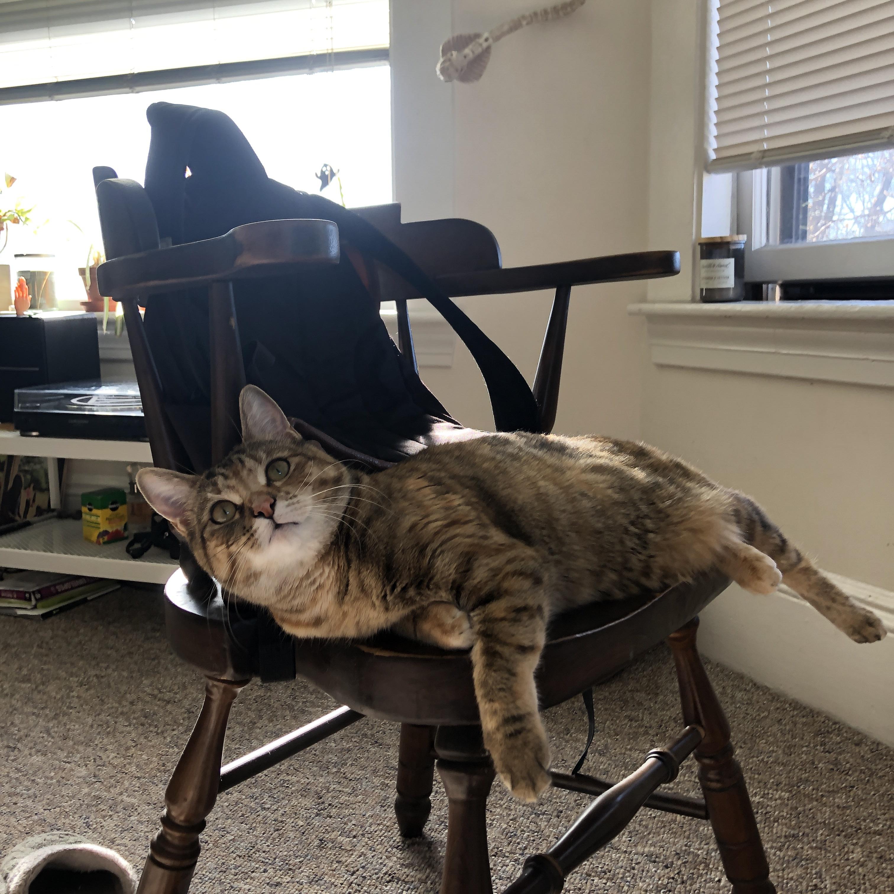 黑色闪光与蓝色叹息，萨卡单骑制造的酋长球场生死战