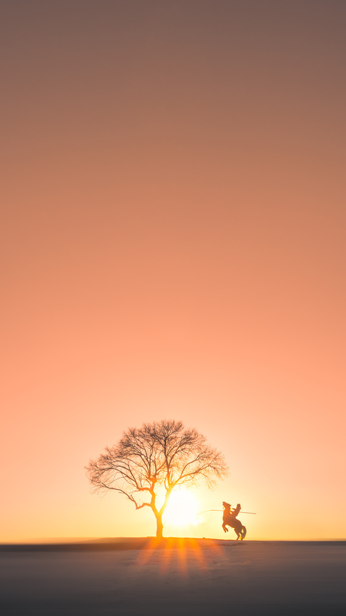 巧合的厚度，当比利时与布雷默在命运线交汇