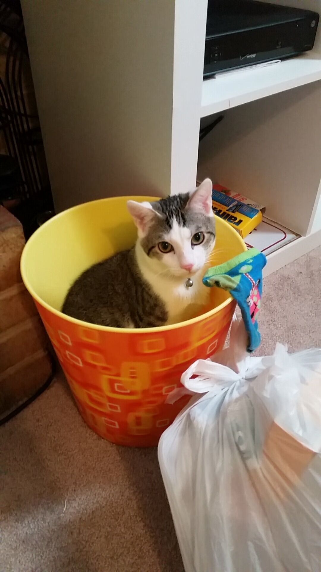 深不可测，一场颠覆预期的年度焦点之战，深圳队如何将奇才拖入泥潭并完成致命一击