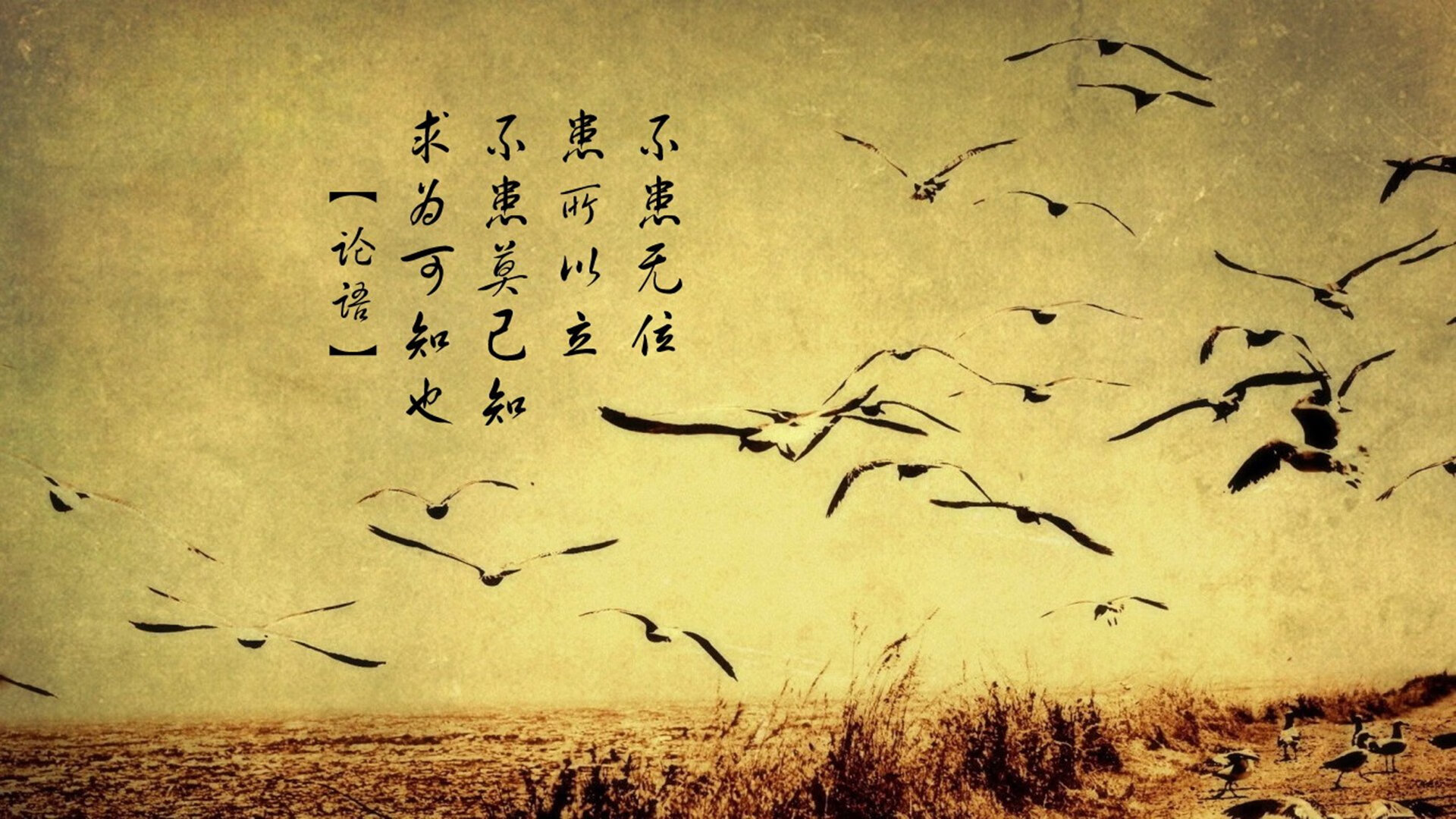 燃烧的箭头与北境的风暴，体育世界里的冰与火之歌