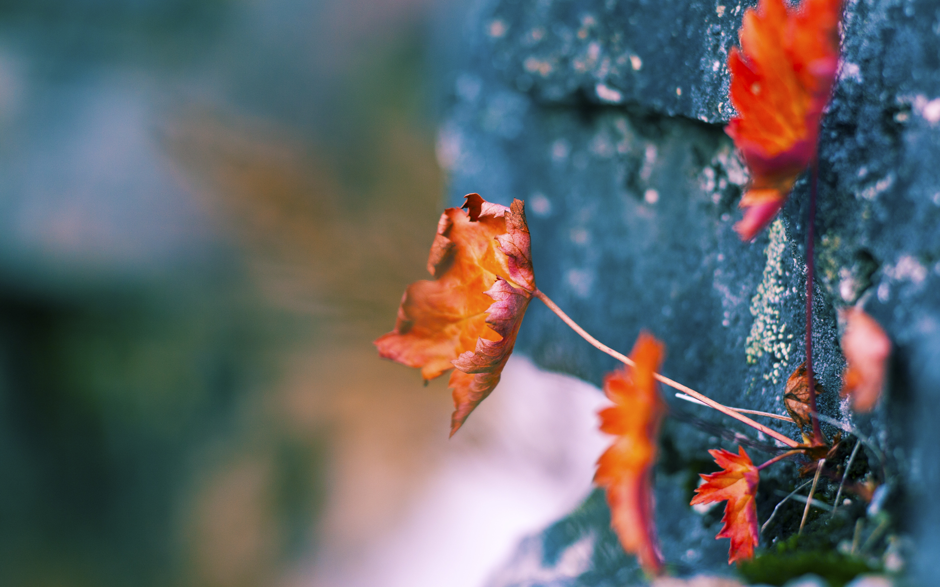 跨界称王！山西鏖战险胜展韧性，恩比德F1街道赛上演赛道接管