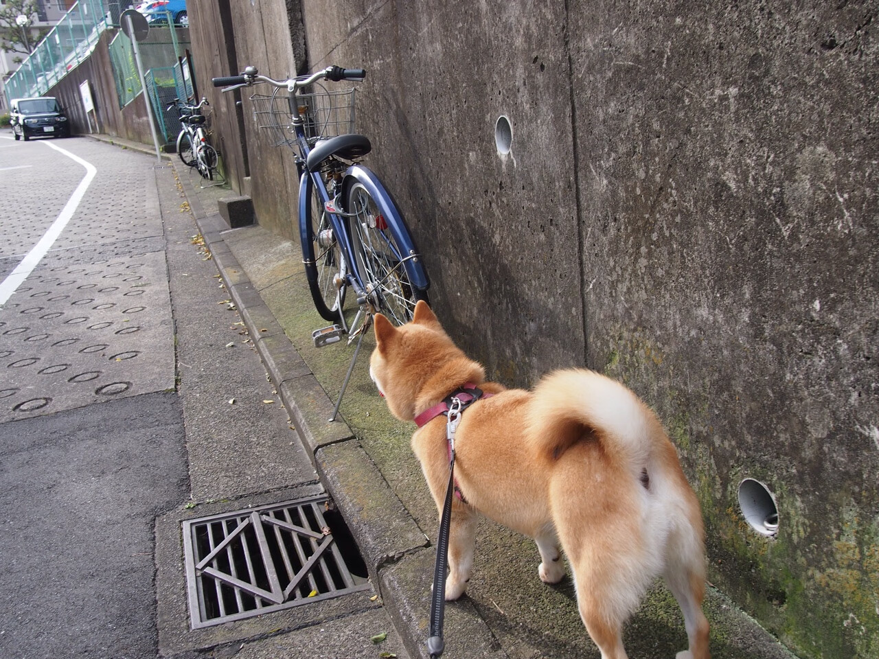 撕裂天空的关键先生,拉梅洛爆发助老鹰客场险胜火箭,诠释何为比赛转折点