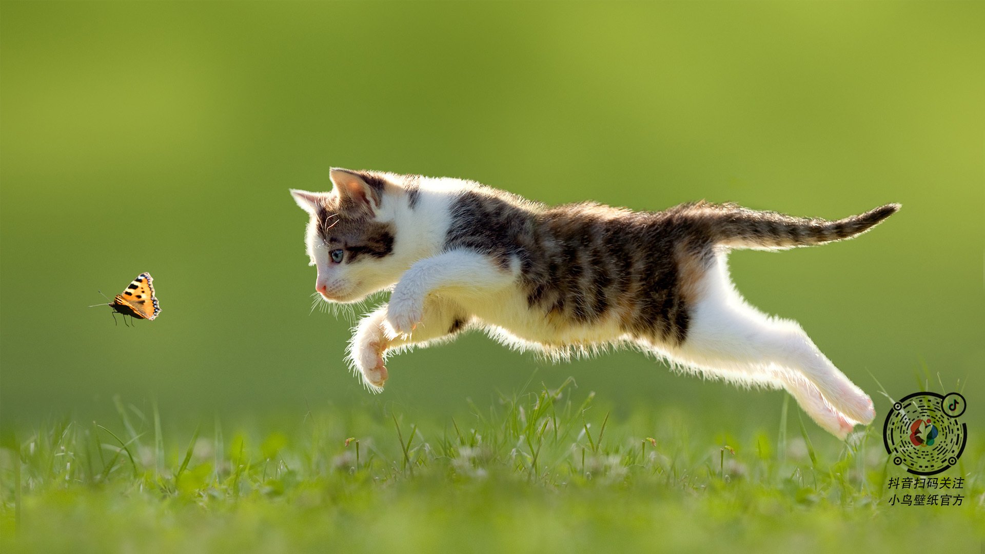 开云体育入口-浓眉关键先生闪耀，深圳队防守制胜击败浙江队