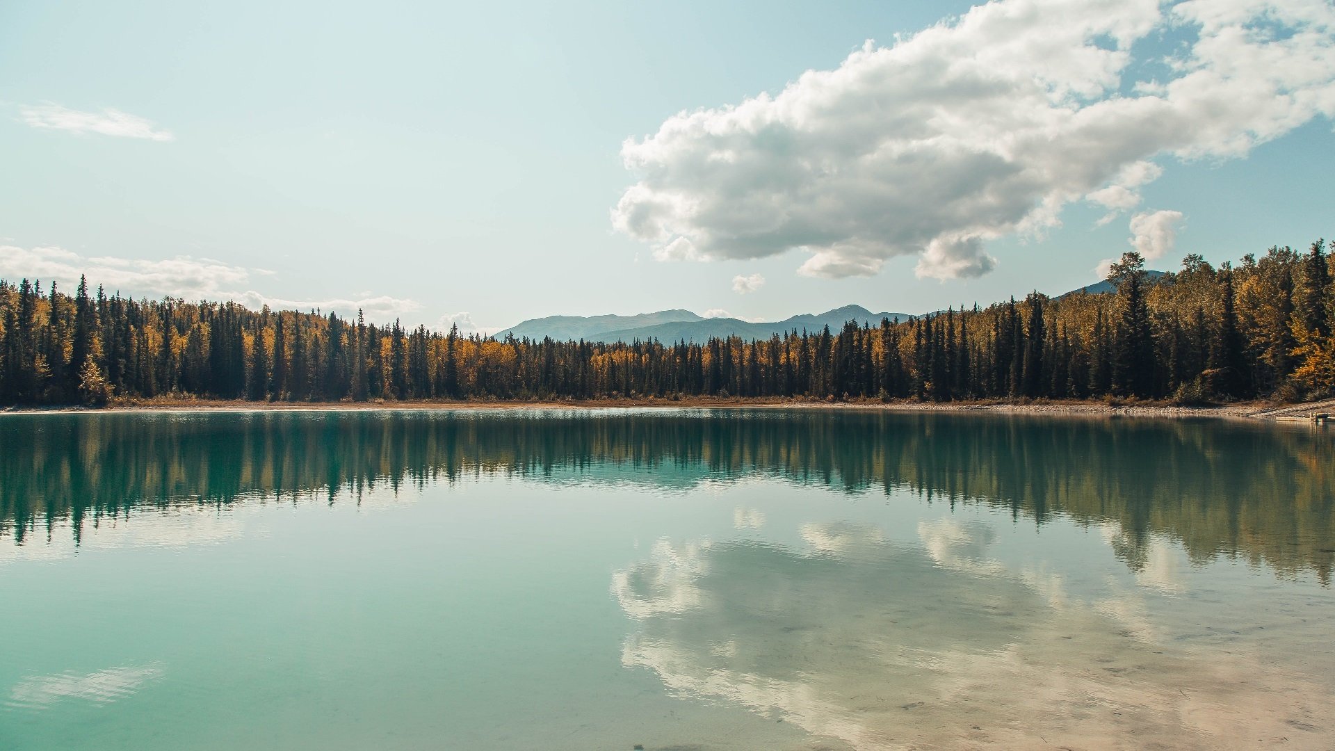 浓眉关键先生闪耀，深圳队防守制胜击败浙江队