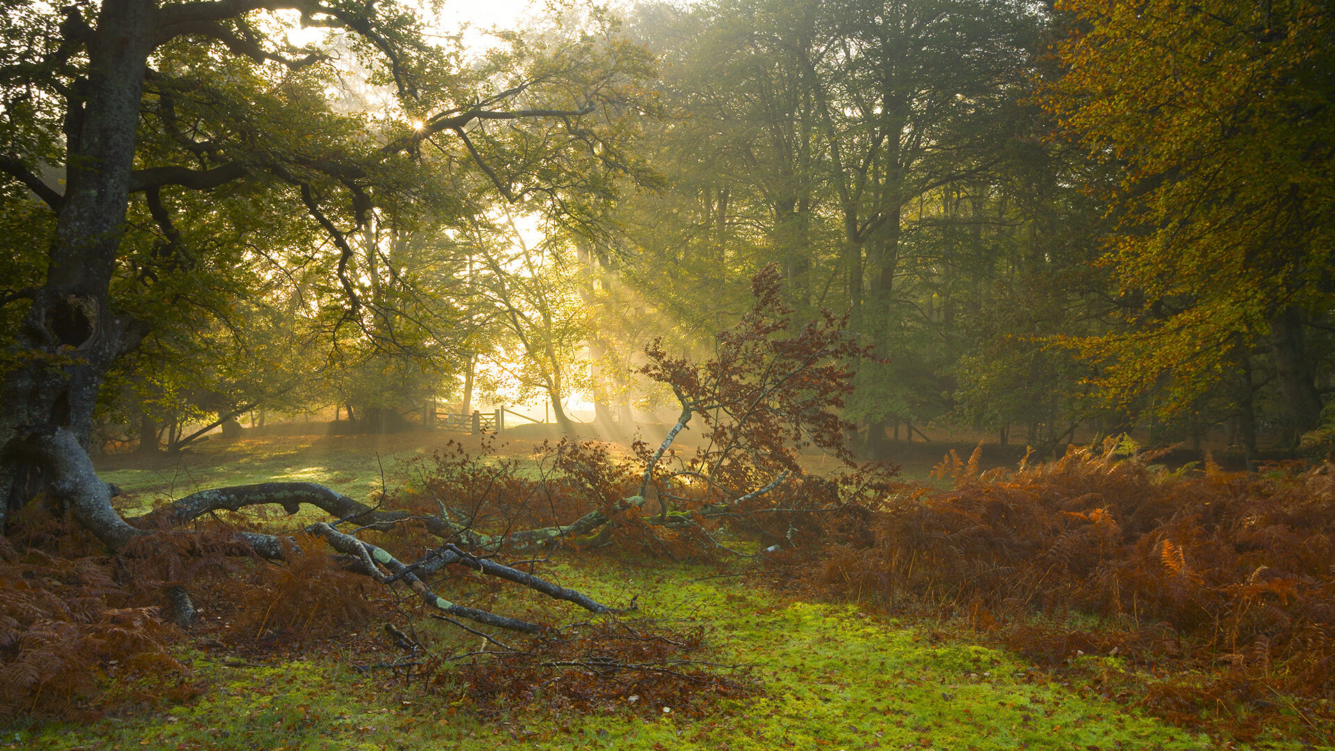 冰与火之歌,当挪威冰川遇见哥斯达黎加熔岩,与那个无解的男人