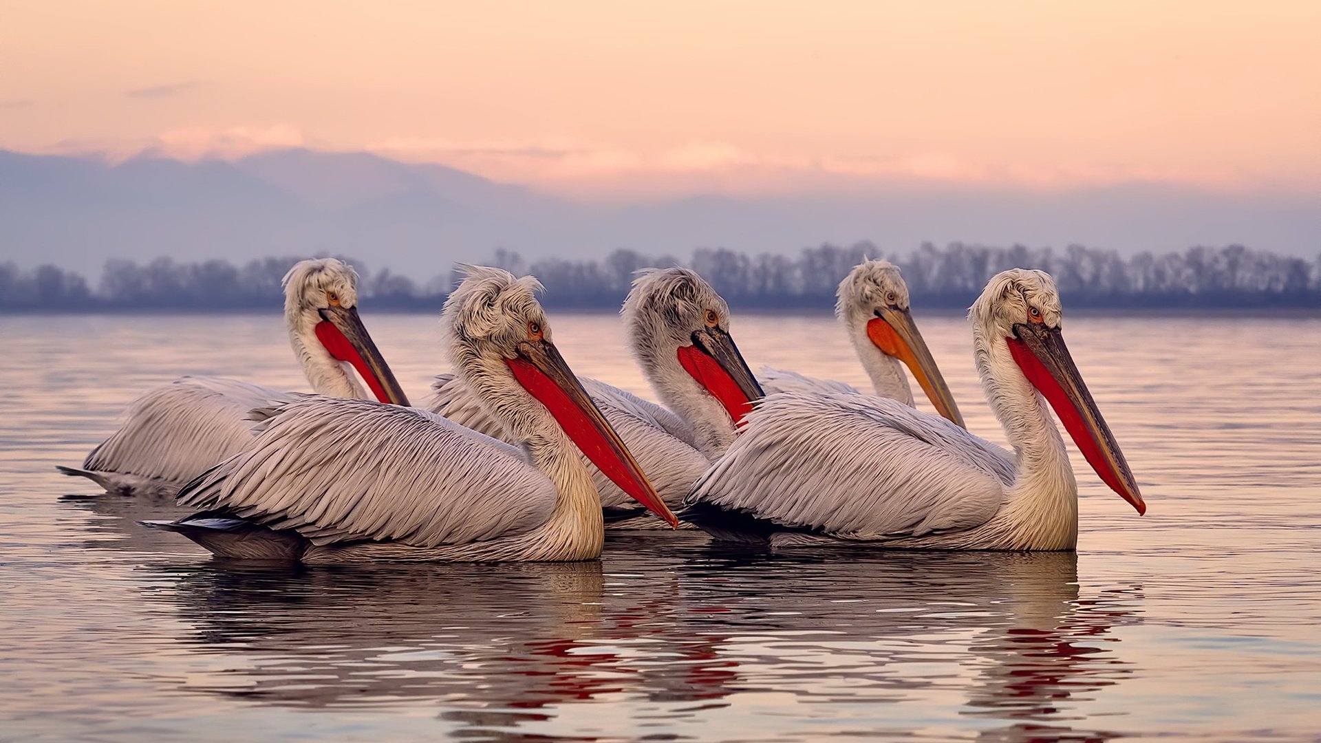 开云体育-隐形的脊梁，当巴尔韦德于无声处听惊雷