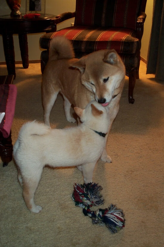 双线福登，从温布利球场到银石赛道，接管比赛的两种哲学