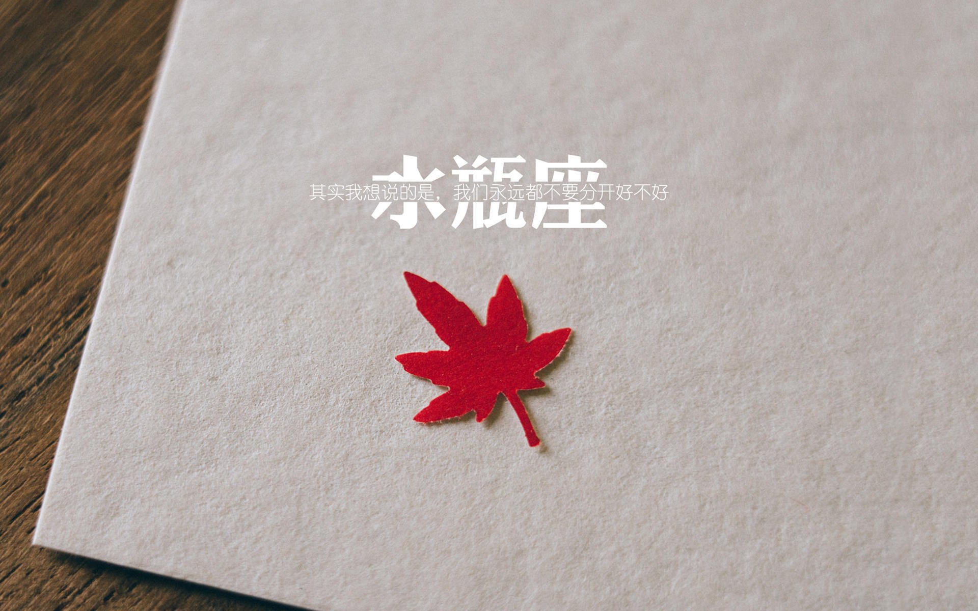 沙漠风暴席卷北美，2026世界杯F组关键战，齐耶赫导演伊拉克完胜美国